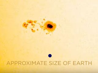 This image of a massive sunspot on the sun shows the full size of the feature as compared to the Earth (inset). This image is a still from a NASA video captured between July 4 and 11 by NASA's Solar Dynamics Observatory.