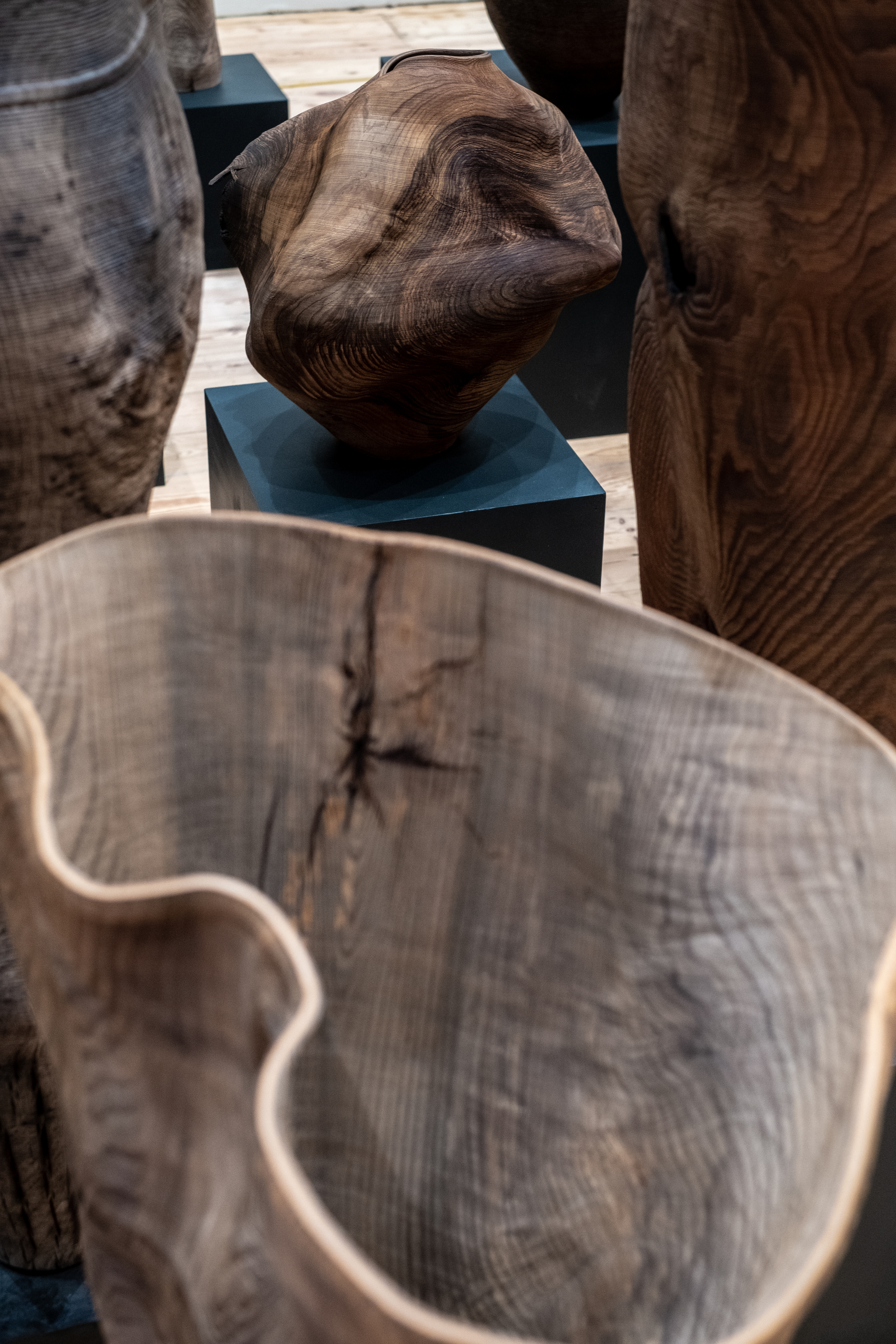 Works in wood by Ernst Gamperl shown at Sarah Myerscough&#039;s new gallery