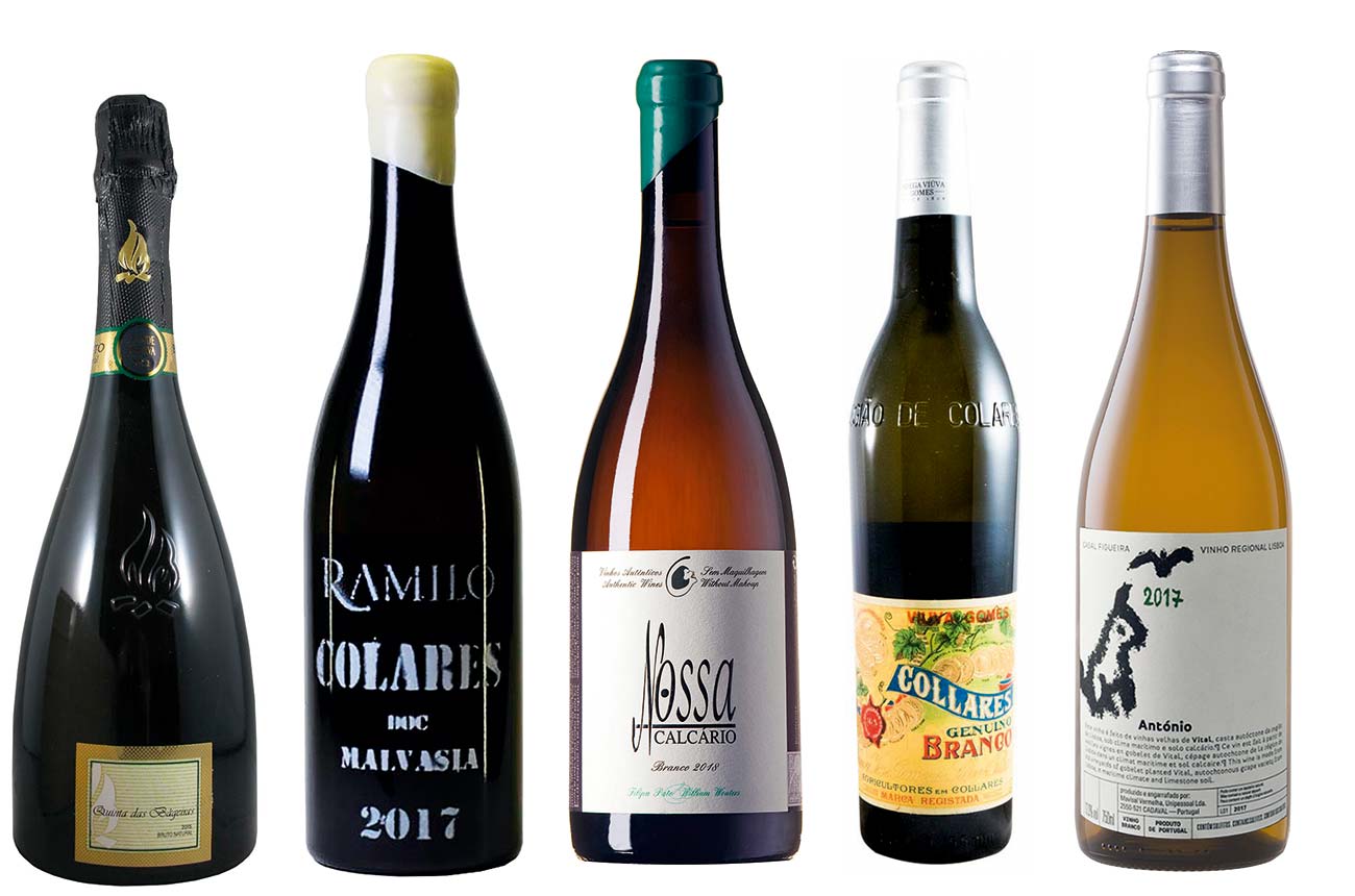 Portuguese Atlantic whites