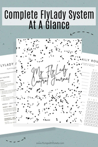 Complete FlyLady System at a Glance | $4.99 for digital download at Etsy