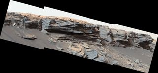 NASA's Curiosity Mars rover discovered the goosebump-like features at the center of this image as it crested the slope of the Greenheugh Pediment on Feb. 24, 2020. The textured ground likely formed by water billions of years ago.