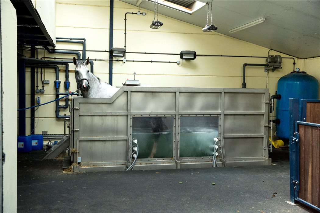 solarium.jpg