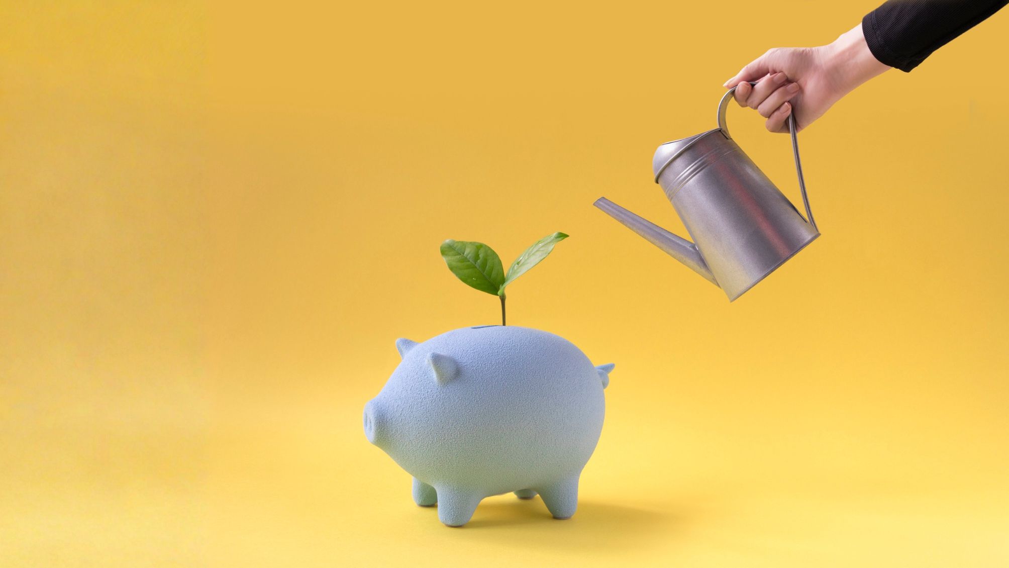 Hand watering sprout on piggy bank