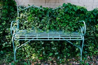 A teal bench in a backyard