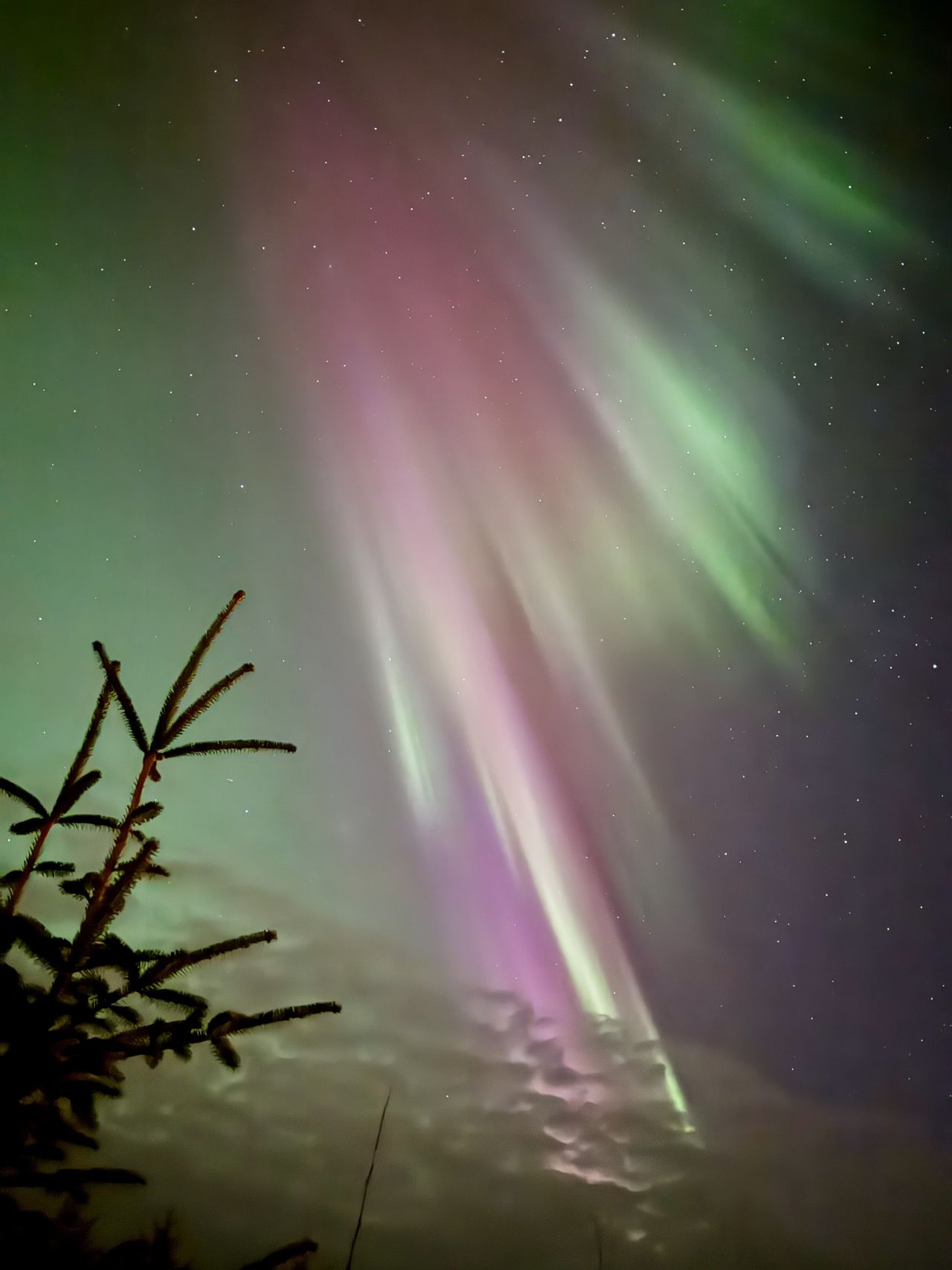 GuruShots - Nature&rsquo;s Masterpiece 2026