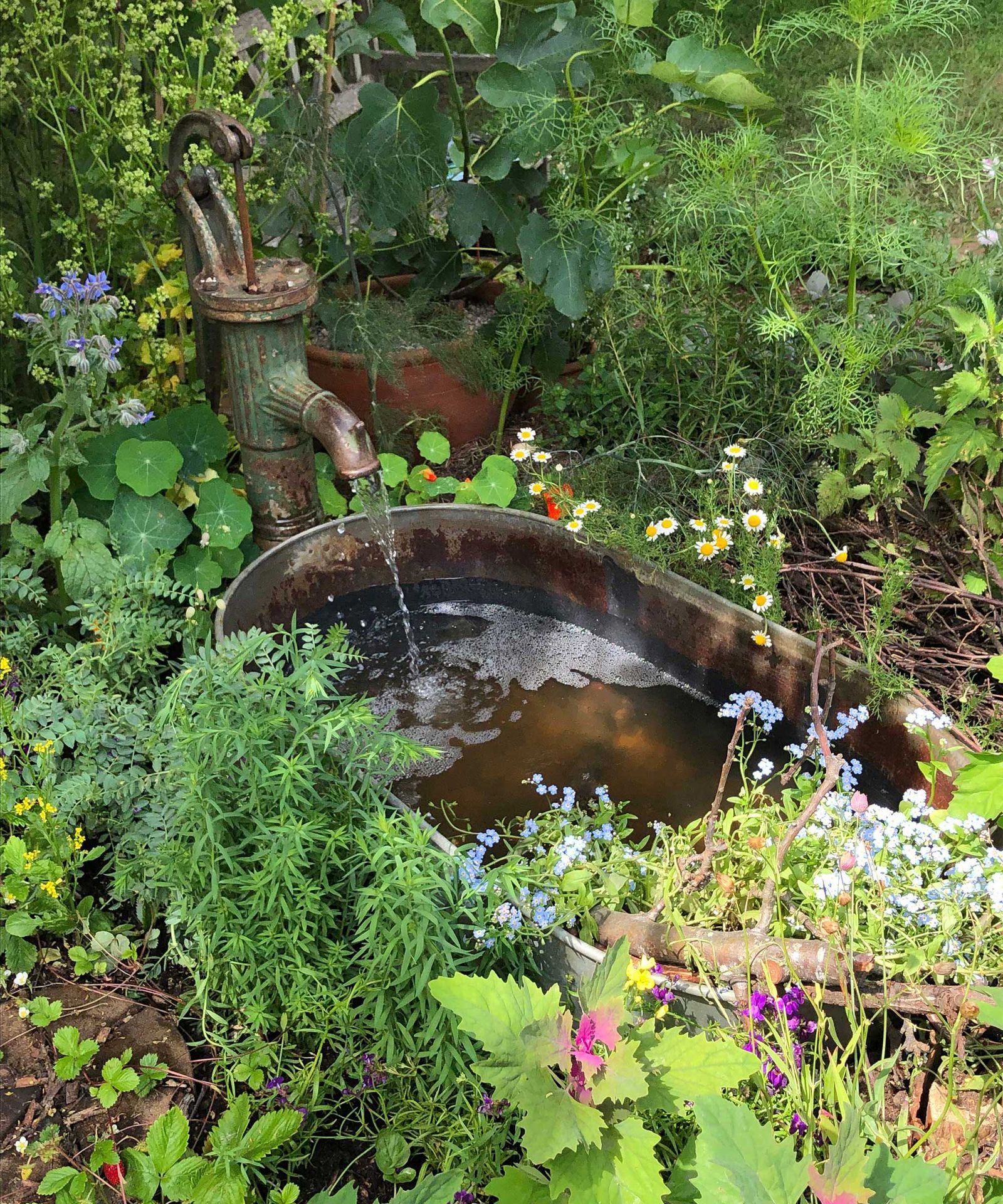 Homemade water feature ideas you can DIY: 10 easy projects to try ...