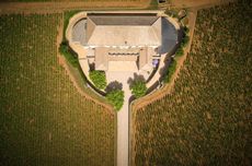 Domaine-Louis-Latour