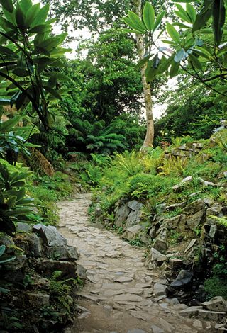 Gardens of Heligan