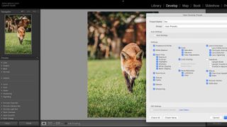 Image shows the editing software in use on a photo of a fox.