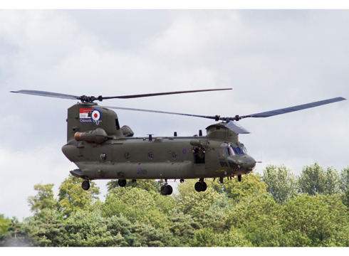 chinook.jpg