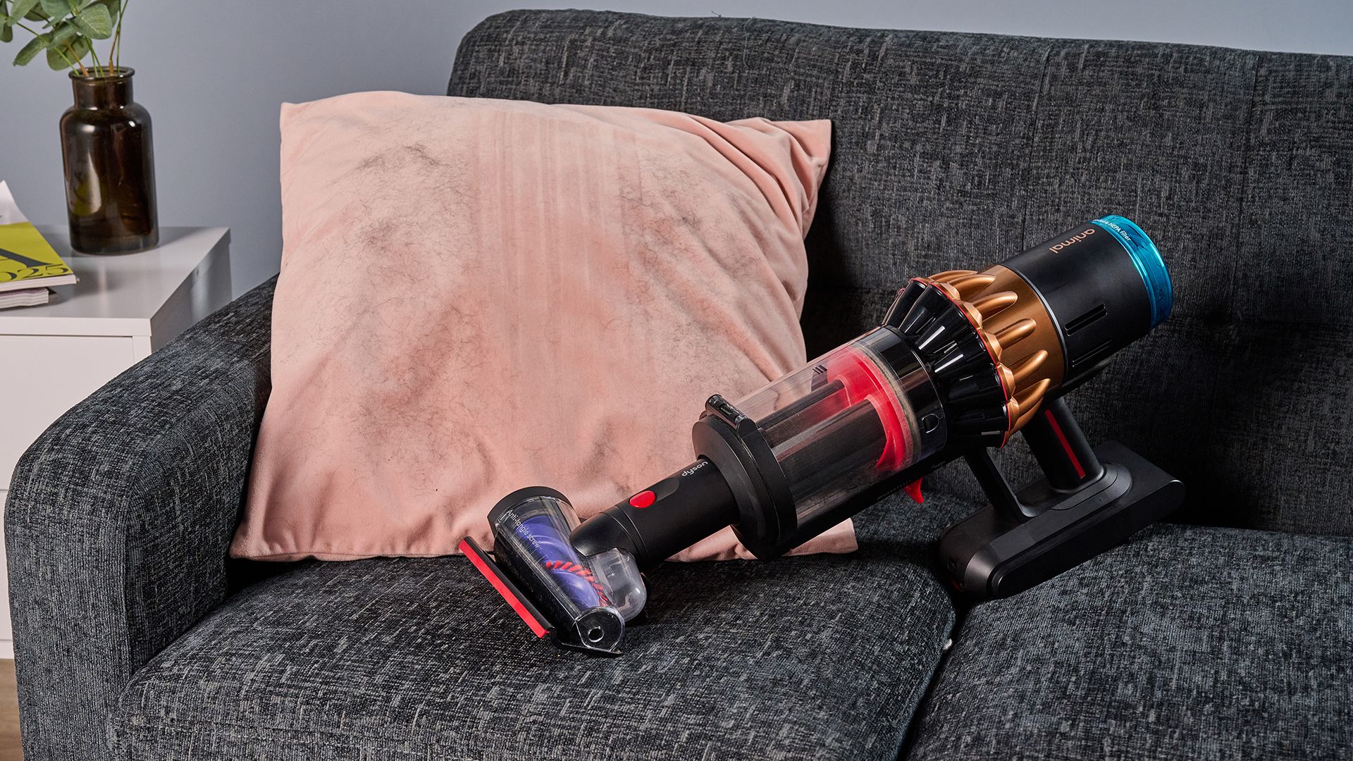 Merek apa yang memiliki alat bulu hewan peliharaan terbaik? Saya menguji banyak hal – inilah hasilnya