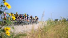 A junior peloton during a gravel race