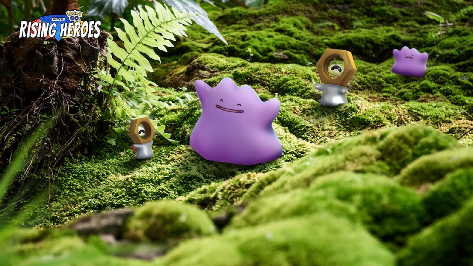 A Ditto and pals frolic in a forest