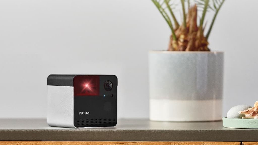 The best pet cameras smart cameras to keep an eye on your furry