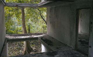 Abandoned concrete building in the forest