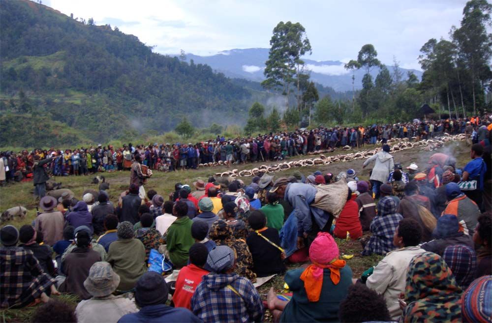 Crowd gathered at a compensation ceremony to distribute folded sides of pork to the clan and relatives of the victim.