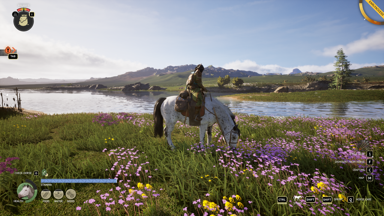The Legend of Khiimori graphics settings - high
