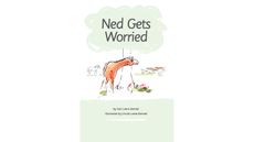 Ned Gets Worried book cover