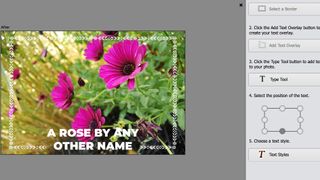 Text and Border Overlay in Photoshop Elements 2019