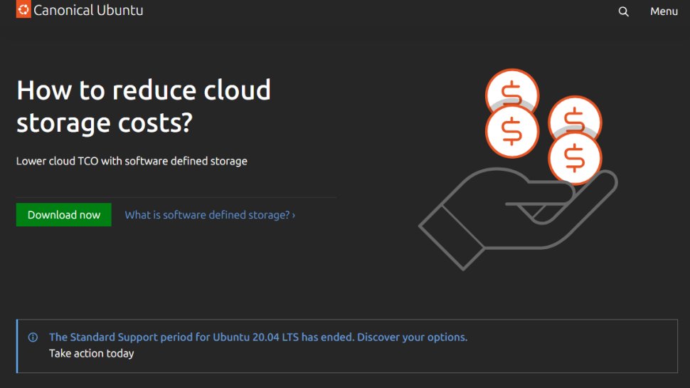 Website screenshot of Ubuntu (August, 2025)