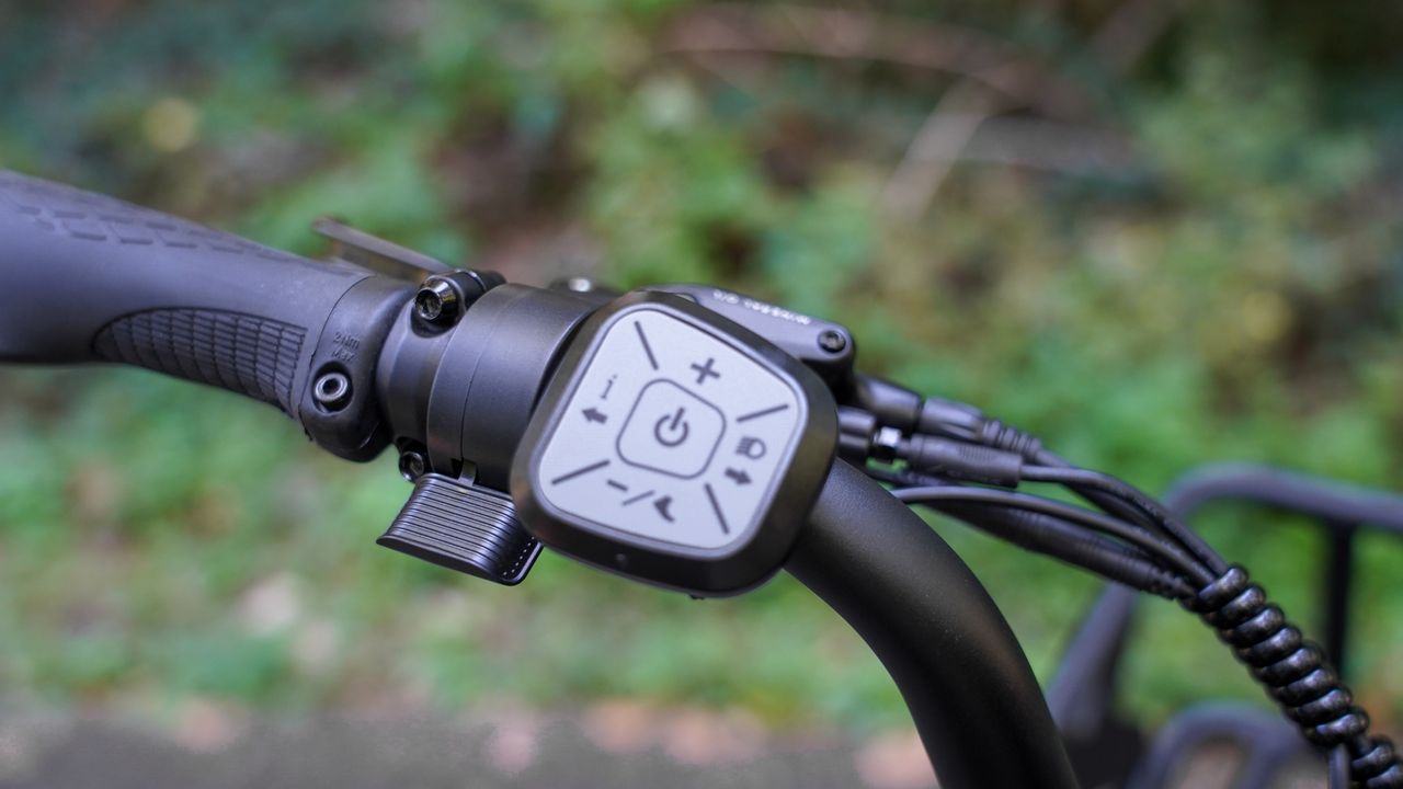 Troxus Lynx Cargo E-Bike
