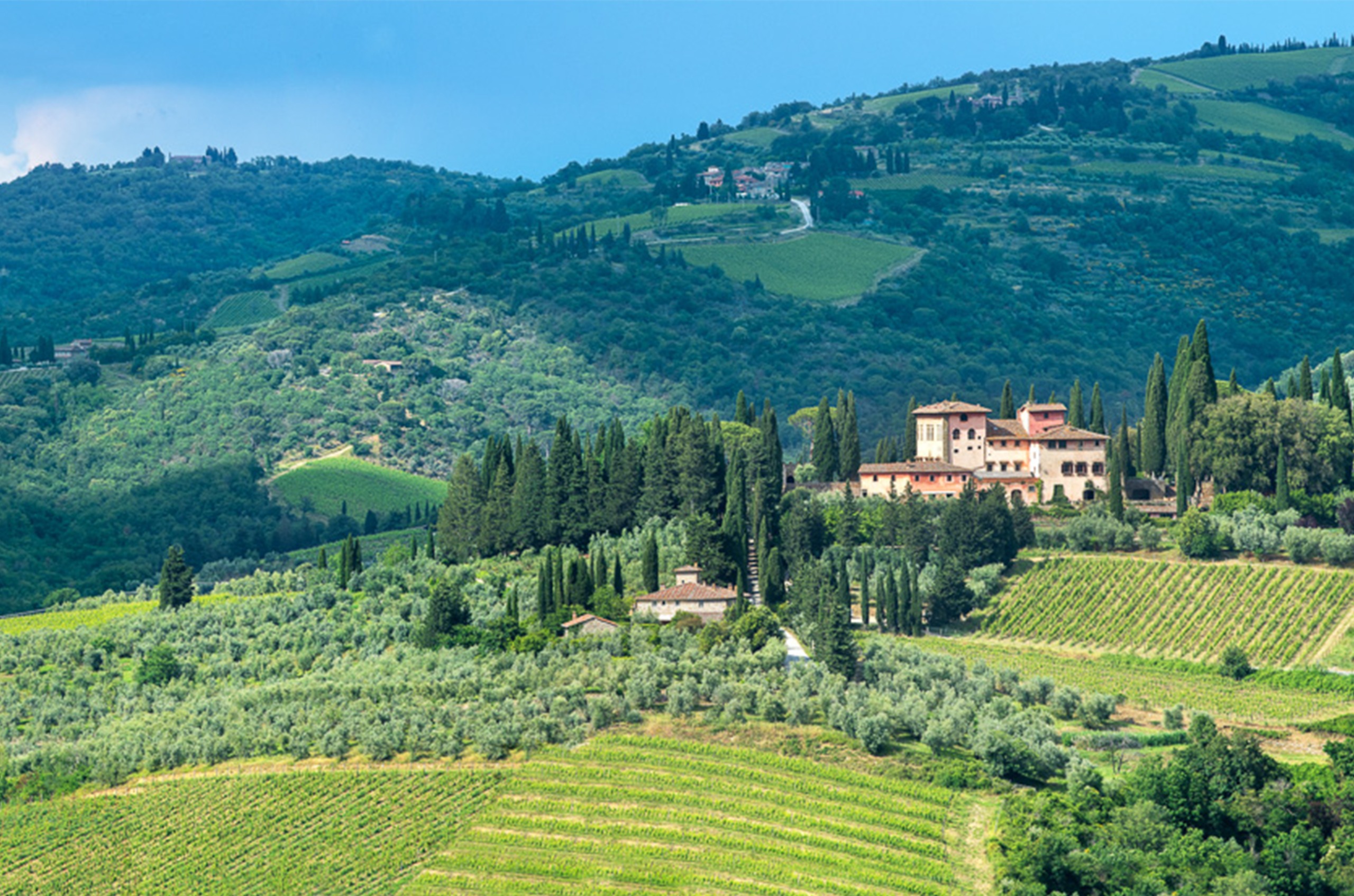 Green hills with vines on them and tall trees, and the Vigmaggio winery, a collection of pink buildings