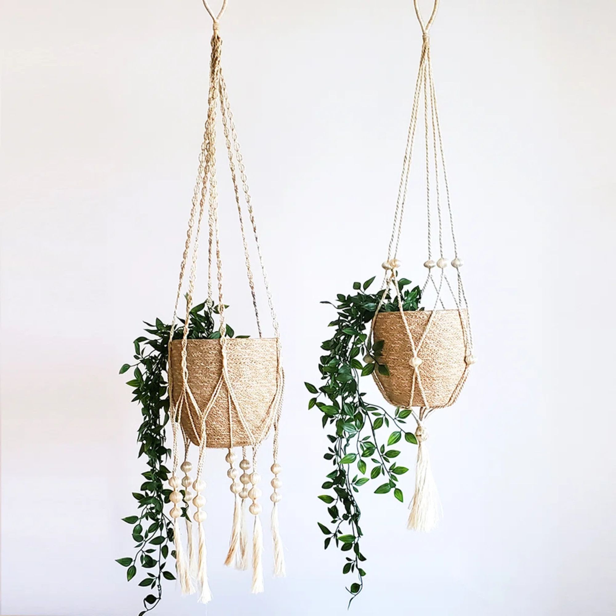 Shiloh jute plant hanger at Wayfair