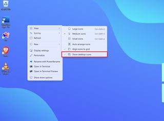 Windows 11 hide desktop icons