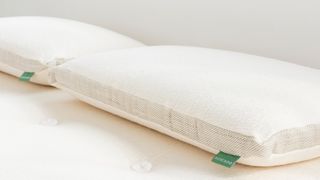Best pillows for sleeping: Avocado Molded Latex Pillow