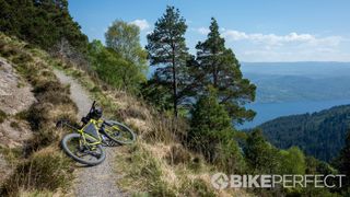 A Surly hardtail mountain bike laid on singletrack. A distant view of trees and a lake can be seen in the background