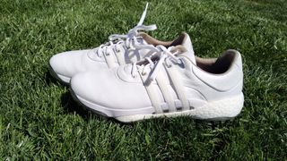 Adidas golf tour360 shoes