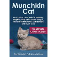 Munchkin Cat: Ultimate Owner’s Guide | Amazon
