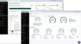 Display of the Commvault Cloud's data protection interface