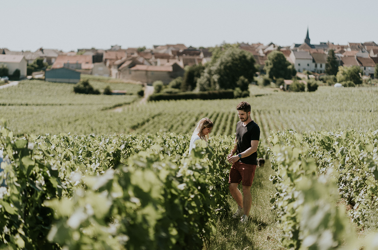 Champagne Sadi-Malot