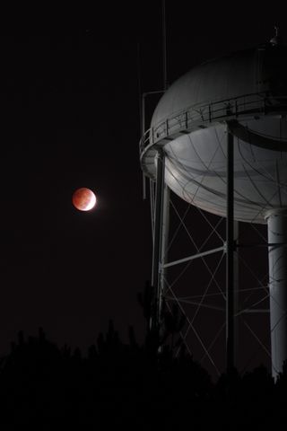 This image, taken by Katie Whitman, shows the total lunar eclipse of Oct. 8, 2014 from Georgia.