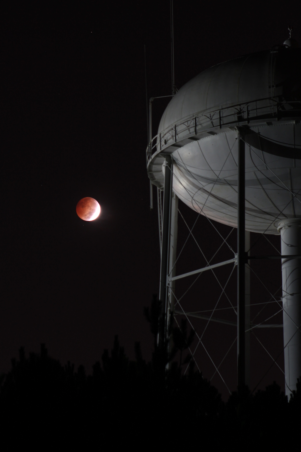 This image, taken by Katie Whitman, shows the total lunar eclipse of Oct. 8, 2014 from Georgia.