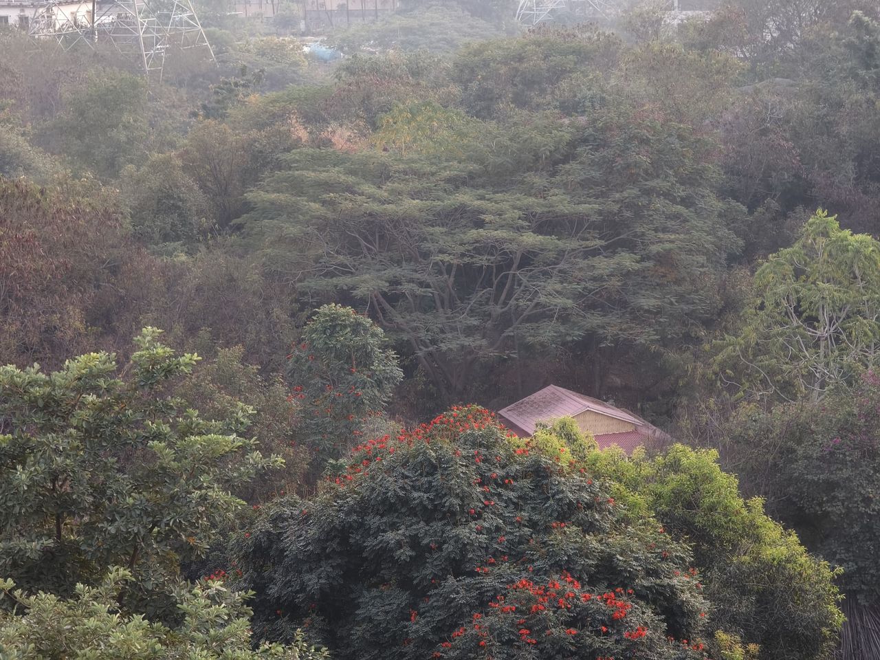 Vivo X100 Pro camera shots