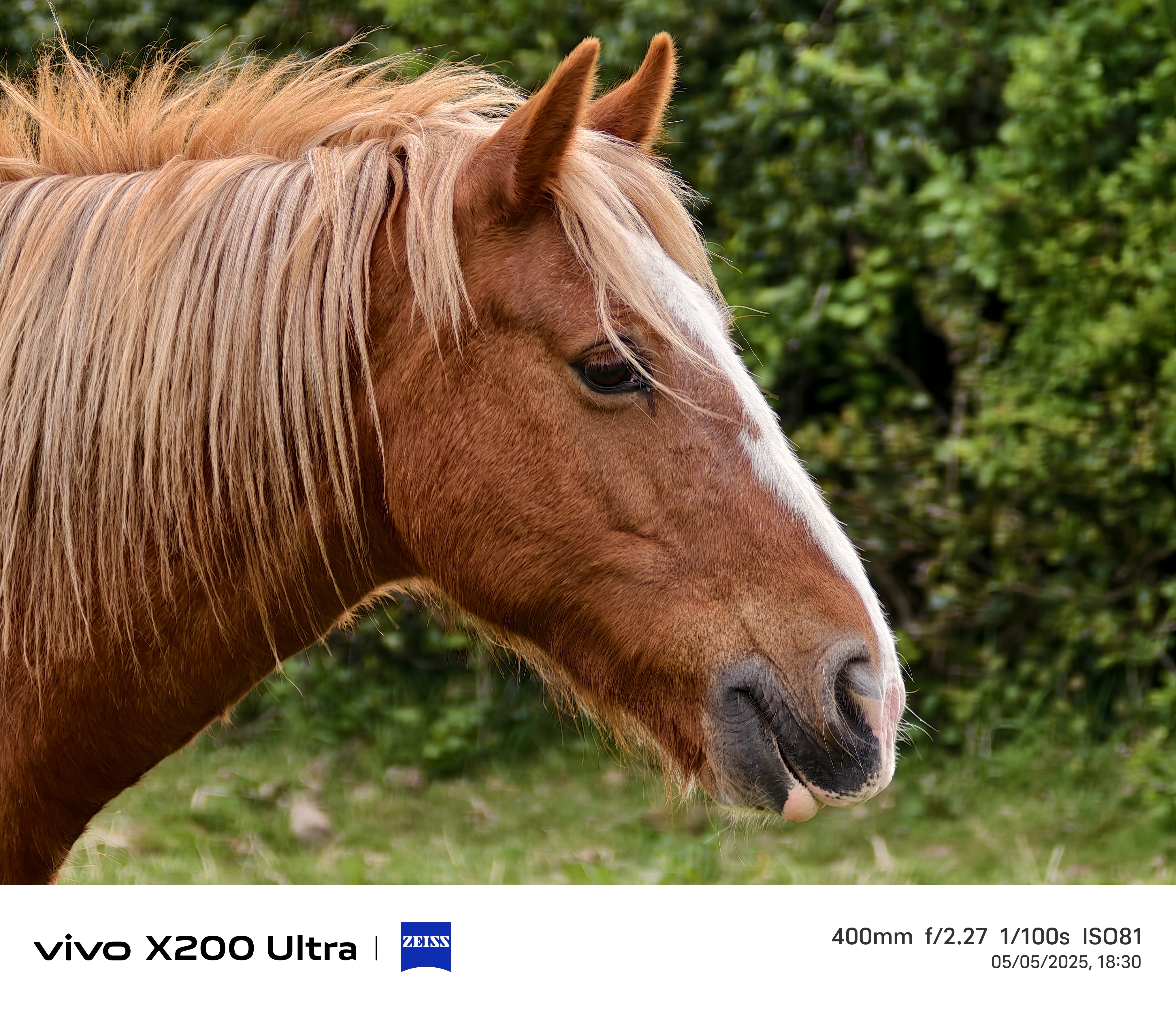 Vivo X200 Ultra camera samples
