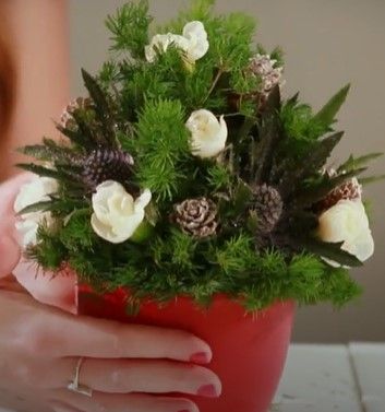 potted christmas tree with red pot 