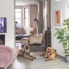 two dogs laying on living room floor