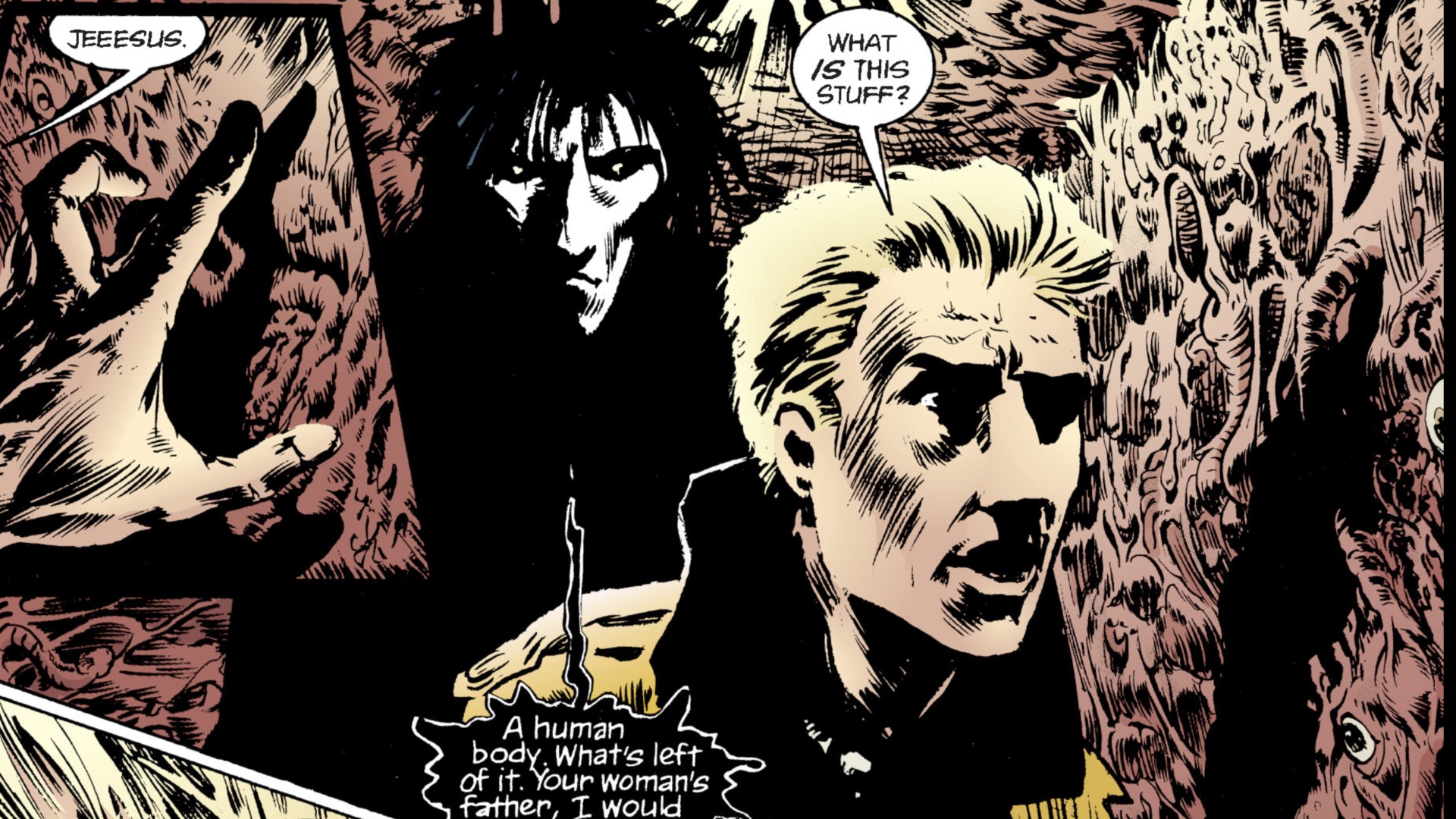 page from Sandman