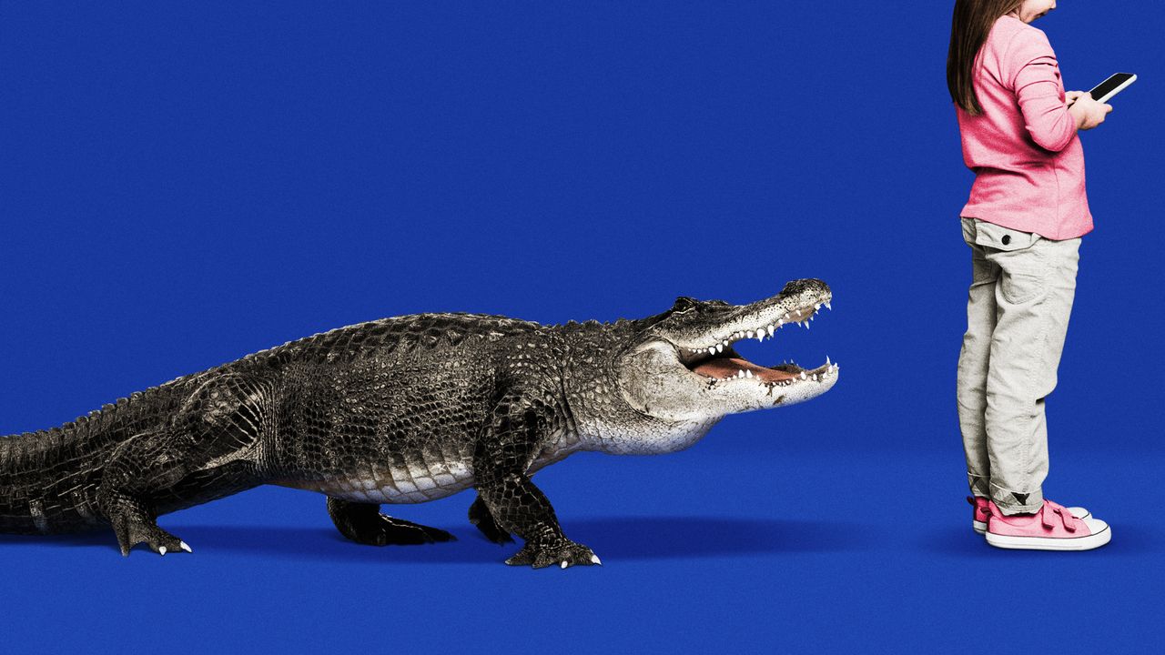 Photo composite of a young girl using a smartphone as an alligator approaches from behind