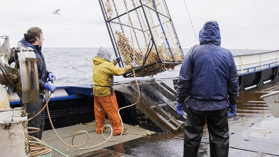 Best Fishing Shows - Deadliest Catch S17