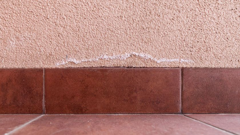 A textured, peach-toned wall shows a thin, uneven line of white, powdery residue just above the reddish-brown tiled skirting, indicating surface salt deposits forming along the base.