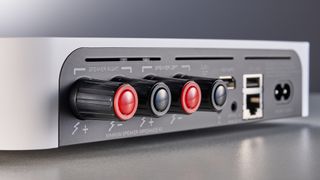Streaming system: Bluesound Powernode Edge rear connections