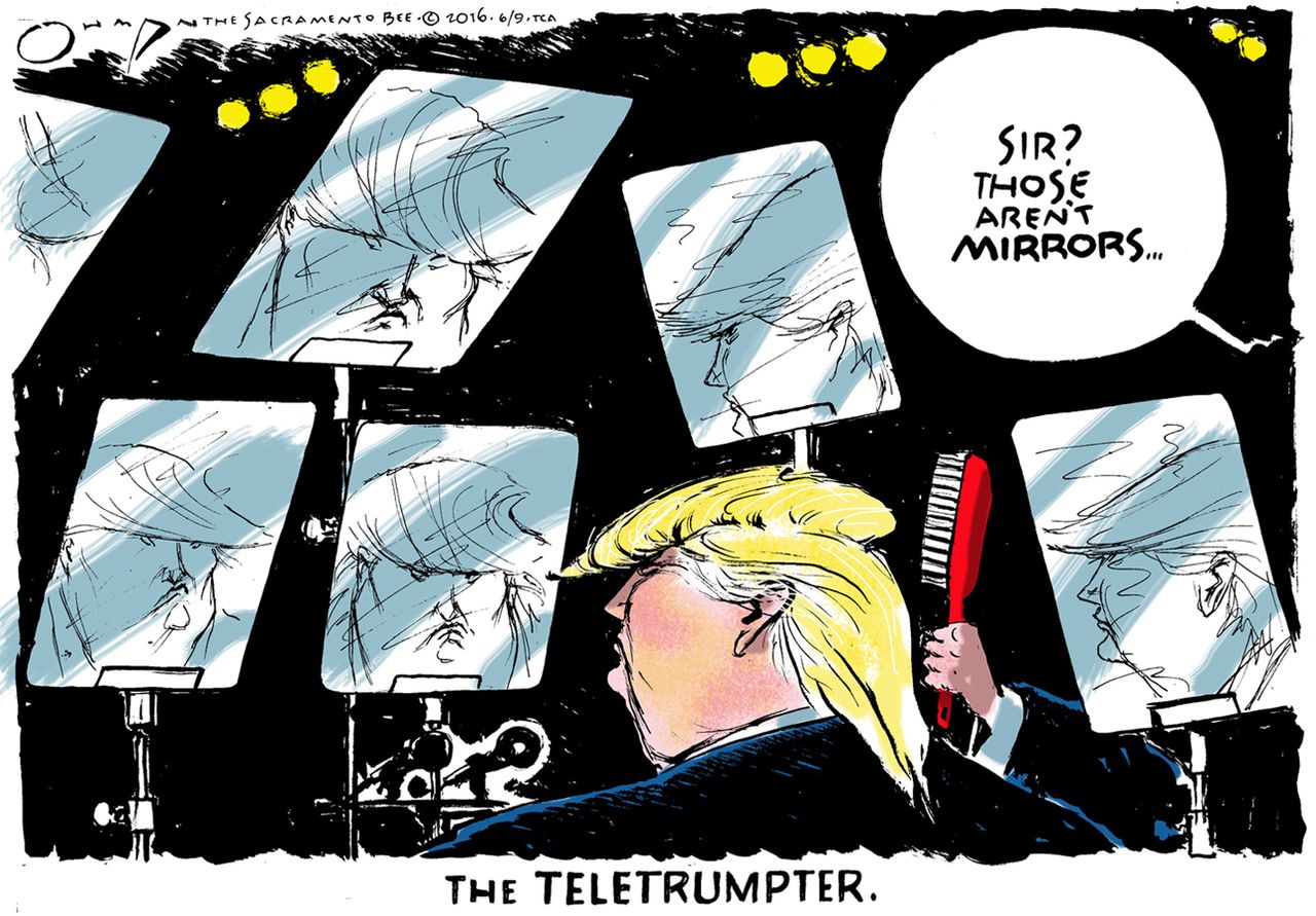 Political Cartoon U.S. Donald Trump