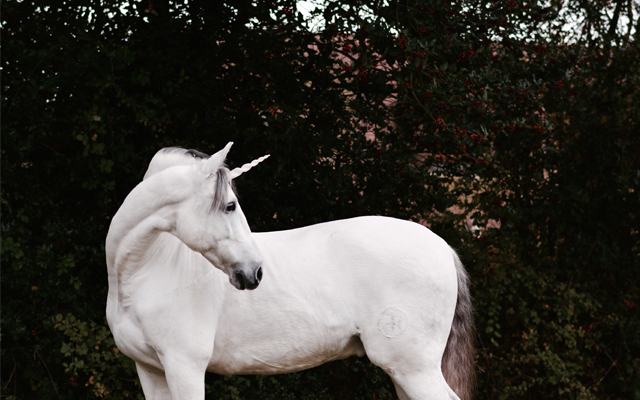 Unicorn-Corner-Image-4