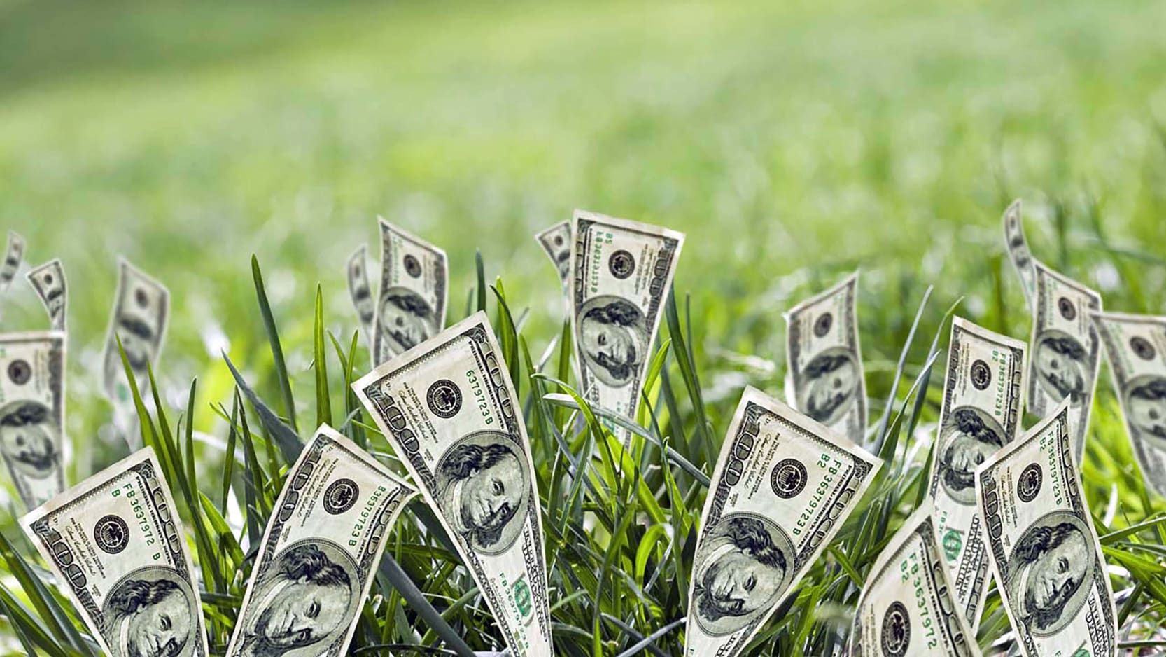 Vanguard Wellesley Income: BUY