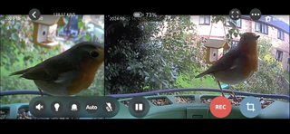 A screengrab showing a robin captured with the close-up and main view from the Birdfy Feeder 2 Duo camera