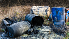 Barrels of toxic waste in nature.
